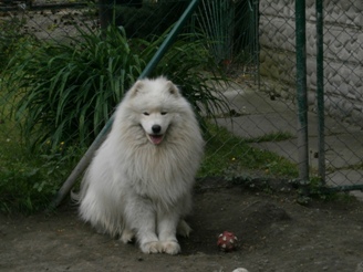 Spokojený klient